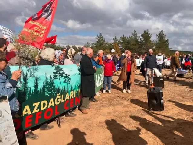 Kaz Dağları'nda ağaç kıyımına karşı çevrecilerden direniş