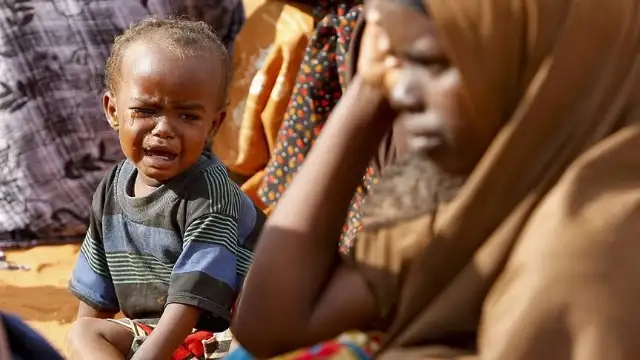 BM: Afrika'daki 36 milyondan fazla kişi temel gıda ihtiyaçlarını karşılamakta zorlanıyor