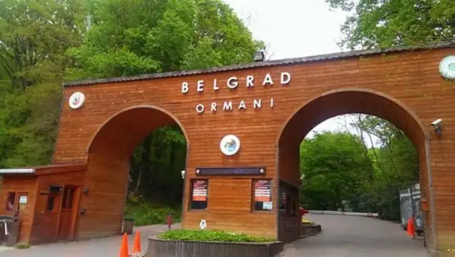 Belgrad Ormanı’nda İBB tabelaları söküldü