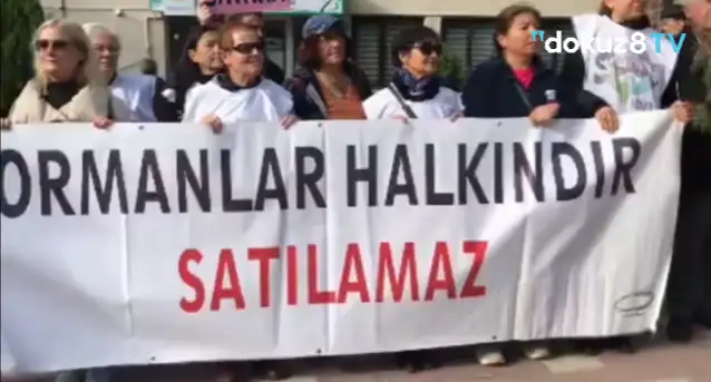 Çanakkale Orman Müdürlüğü'ne çağrı: Kaz Dağları'ndaki orman katliamını durdurun!
