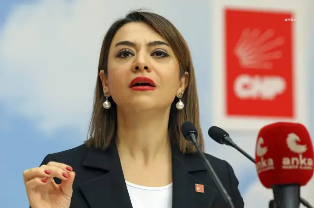 CHP'li Taşcıer: Emekliye ve çalışana 'sabır' tavsiye edenlerin ekonomi programı süründürmüyor, öldürüyor