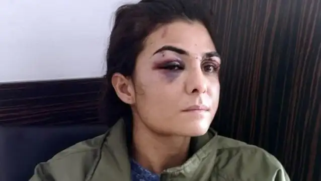 Yargıtay 'özsavunma' davasında Melek İpek hakkında verilen beraat kararını bozdu