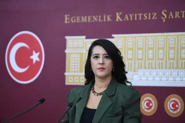 EMEP'li Karaca'dan Bahçeli'nin TBMM’de komisyon kurulması önerisine yanıt: Halkın etkin katılımına açık olmalı