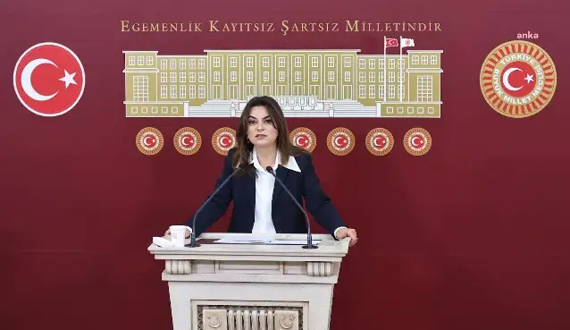 Koçyiğit: İmralı ziyaretiyle barış sürecinde kritik bir eşik aşıldı