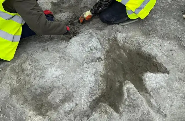 İngiltere'de 166 milyon yıl öncesine ait 200 dinozor ayak izi bulundu