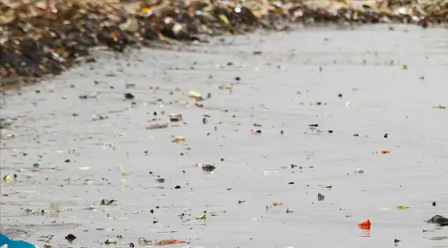 Tek kullanımlık plastiklere yasak geliyor