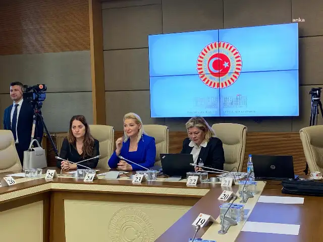 TBMM Kadına Karşı Şiddet ve Ayrımcılığı Araştırma Komisyonu'nda Zahide Yetiş tepkisi