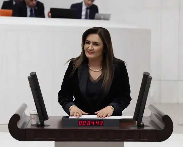 CHP'li Kılıç: Epstein belgeleriyle ilgili Meclis'te araştırma komisyonu kurulmalıdır