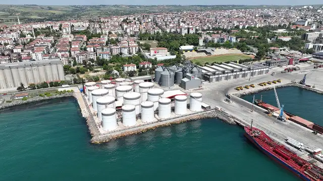 Mahkeme kararına ve Beyrut Limanı örneğine rağmen Ceyport’ta ÇED süreci yeniden başlatıldı