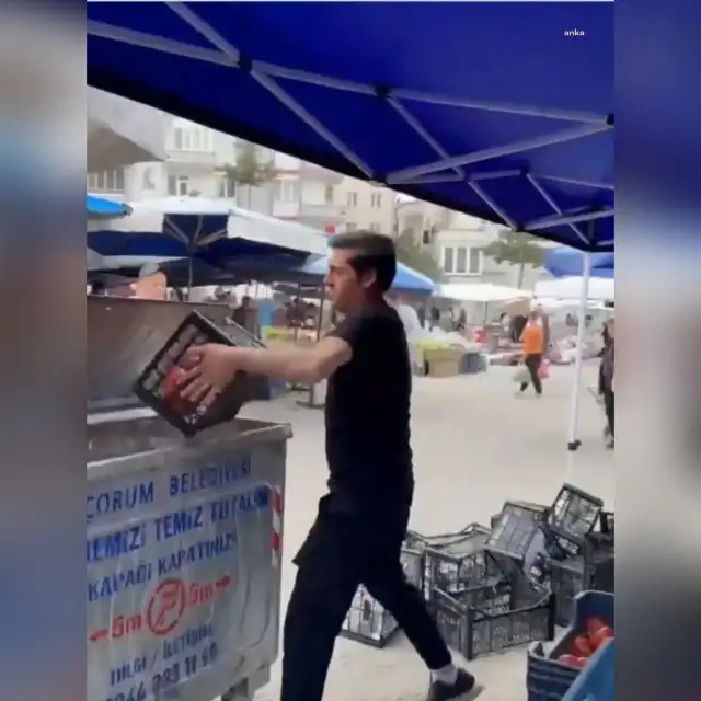 Ticaret Bakanlığından domatesleri çöpe döken esnafa rekor ceza