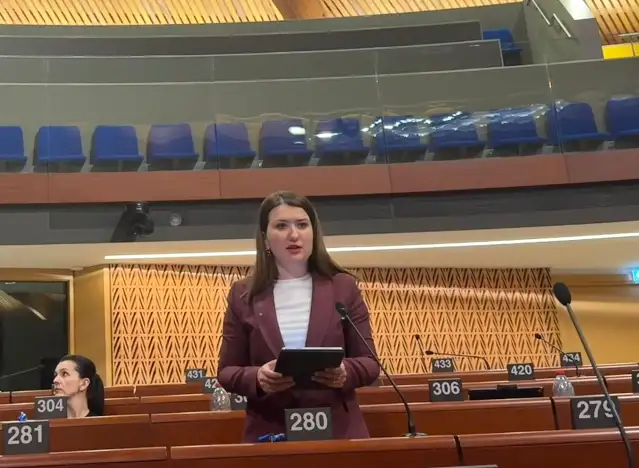 Gökçe Gökçen AKPM’de konuştu: Demokrasi olmadan güvenlik olmaz