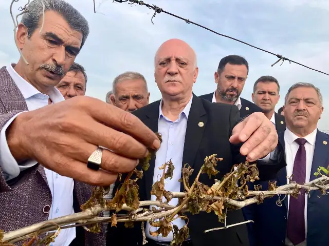 TZOB Başkanı Bayraktar, Manisa’da don afetinin yaşandığı bağları inceledi