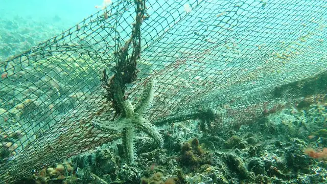 İzmir Karaburun'da denizden 1,5 ton hayalet ağ çıkarıldı