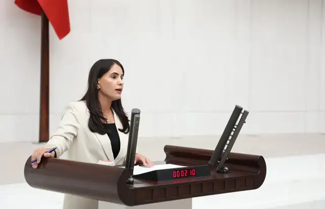 DEM Parti'li Uysal Aslan: Faili meçhuller bakanlık birimine bırakılamaz, hakikat için Meclis devreye girmelidir