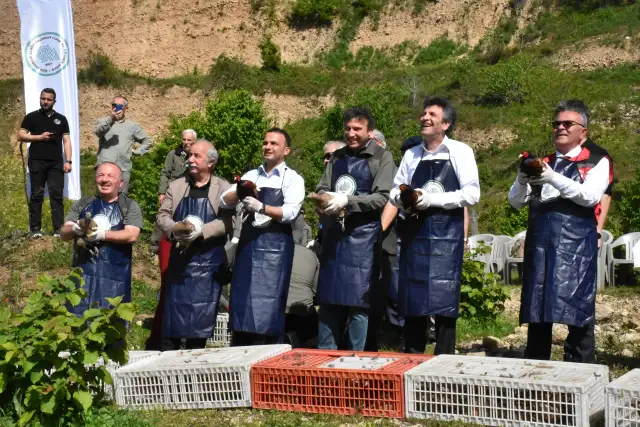Ordu'da kahverengi kokarcaya karşı doğaya 800 sülün salındı