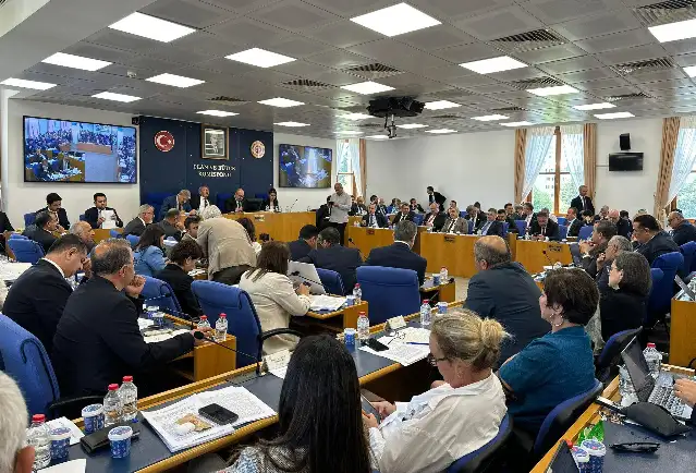 TBMM'de tartışılan teklif yasa geçerse, 24 bin zeytin ağacı taşınacak