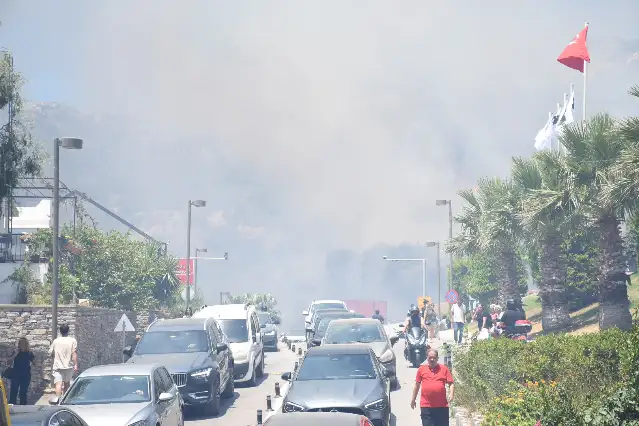 Bodrum'da çıkan orman yangınına müdahale ediliyor