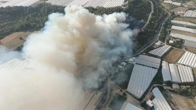 Antalya'nın Aksu ilçesinde orman yangını