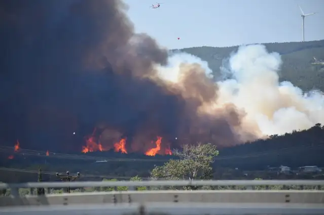 İzmir Bornova'da tarım arazisinde başlayan yangın ormana sıçradı