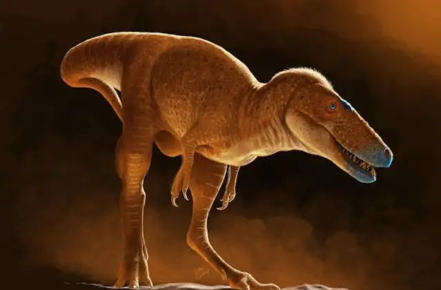 T-rex gibi Tiranozorların atası sayılabilecek 86 milyon yıllık yeni dinozor türü keşfedildi
