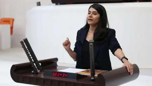 DEM Parti Milletvekili Beritan Güneş: GGM'ler "toplama kampına" dönüştü