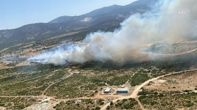 Didim’de makilik alanda yangın