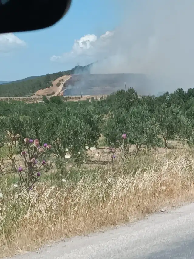 Manisa Soma'da yangın