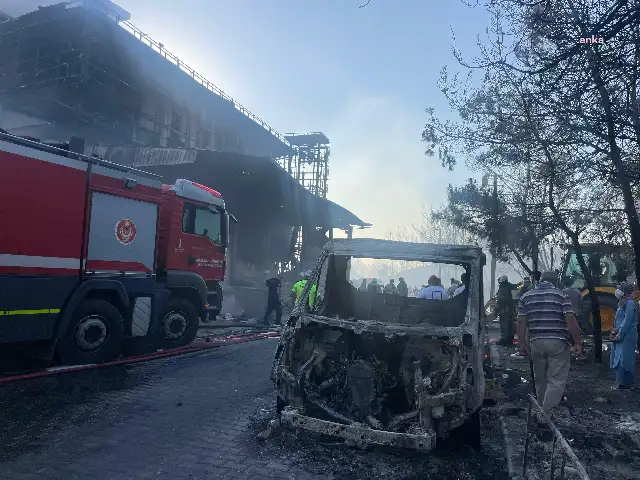 İzmir’de orman yangını