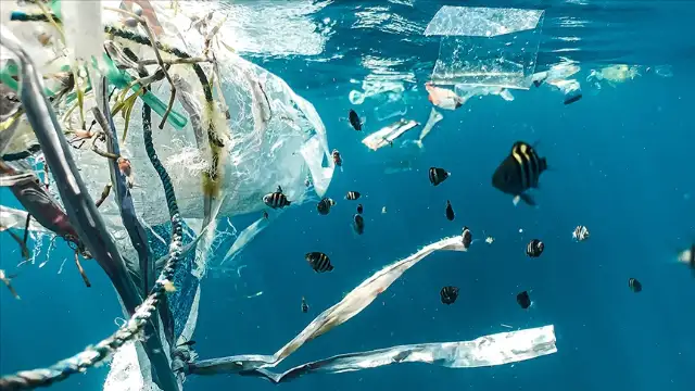 Plastiksiz Türkiye Platformu: Türkiye'yi çevresel adaletin gerekliliklerini yerine getirmeye çağırıyoruz