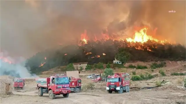Eskişehir'deki orman yangınında 11 orman işçisi hayatını kaybetti