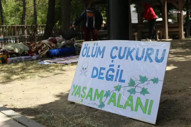 Köylülerden Meclis'in yanı başında zeytin nöbeti: Zeytin, meyve olmazsa Türkiye olmaz