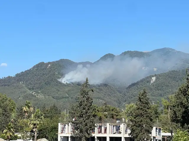 Hatay Dörtyol'da orman yangını çıktı