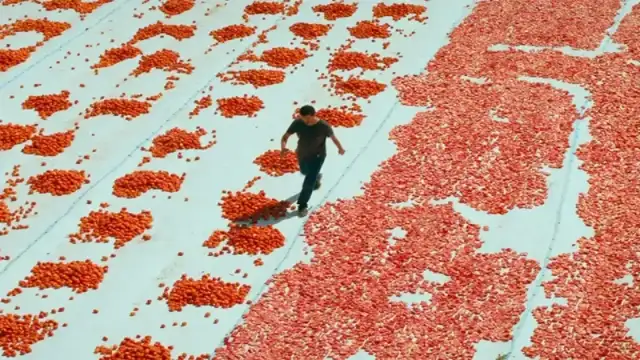 Türkiye'nin Oscar adayı "Hemme'nin Öldüğü Günlerden Biri" filmi oldu