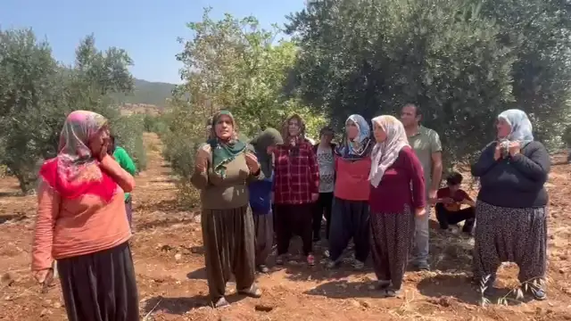 Gaziantep İslahiye’de zeytinlikler TOKİ tehdidi altında: Köylüler haklarını arıyor