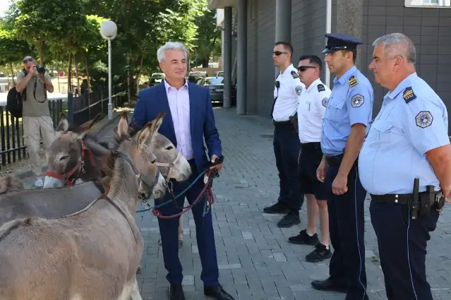 Kosova'da 41 oturuma rağmen meclis başkanının seçilememesi "eşeklerle" protesto edildi