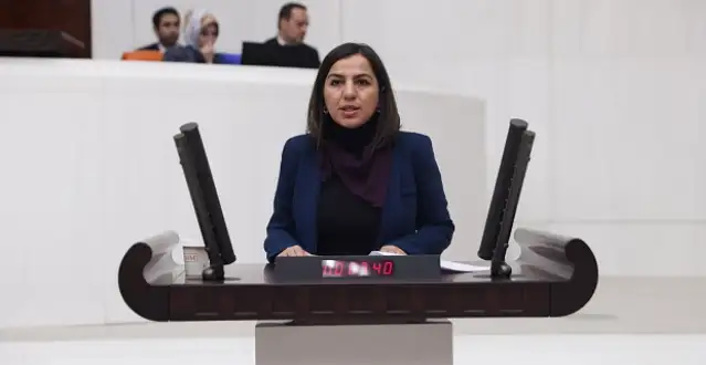 DEM Parti Milletvekili Gökalp: Engelli mahpuslar cezaevlerinde tedaviye erişemiyor, yaşam hakları tehlikede