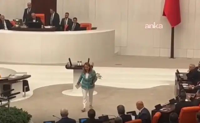 Zeytinliklerin katliamının önünü açan kanun teklifinin ilk 11 maddesi kabul edildi, CHP'li vekilden çıplak ayak eylemi