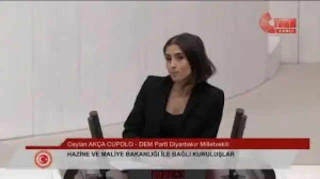 DEM'li Ceylan Akça Cupolo: Savaşı, yalnızca tankla tüfekle değil, doğal kaynakların yok edilmesiyle de tarif ediyoruz