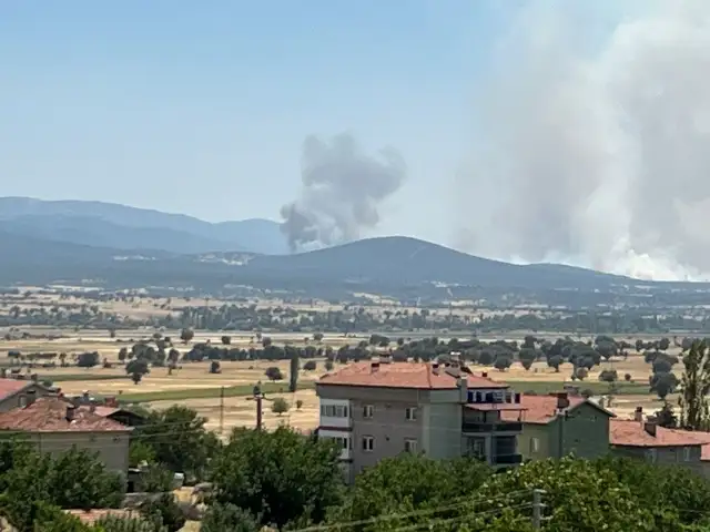 Uşak'ta meşelik alanda çıkan yangına müdahale ediliyor