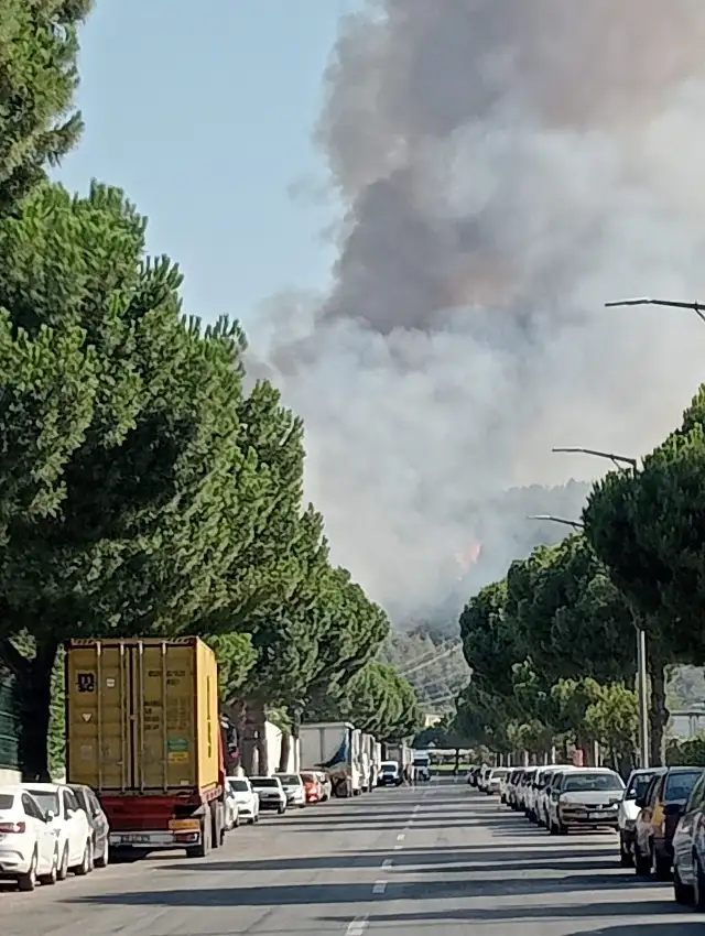 Manisa'daki orman yangınları sebebiyle sanayi bölgesinde üretim durdu