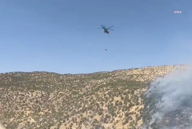 Şırnak'taki orman yangını kontrol altına alındı