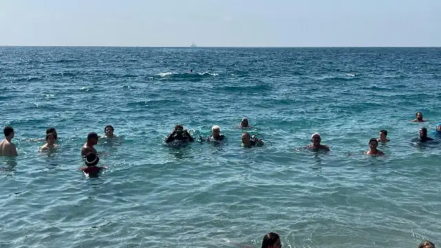 Akdeniz'deki ısınma ekosistemi yeniden şekillendiriyor