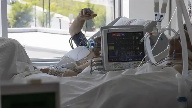ABD'de ilk kez bir insanda "Yeni Dünya vida kurdu sineği" vakası tespit edildi