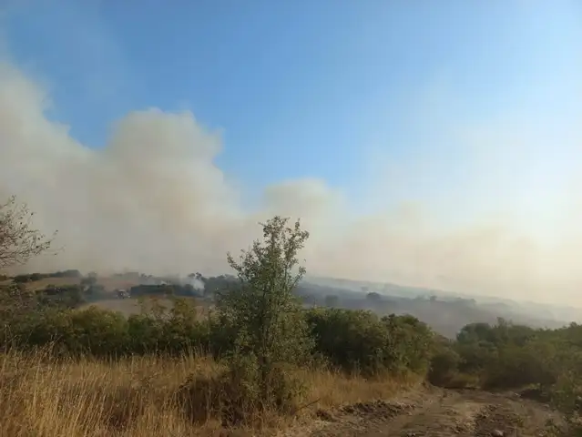 Balıkesir'de çıkan yangına müdahale ediliyor