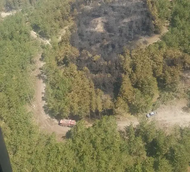 Bolu'daki yangın kontrol altına alındı