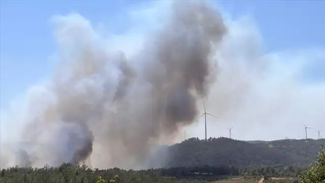 Çanakkale'de yine orman yangını: Kaz dağları tehdit altında