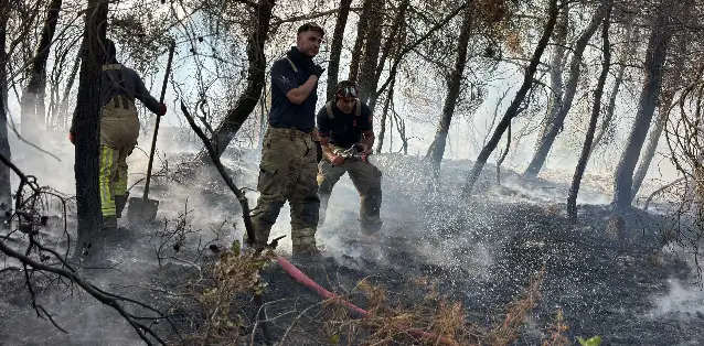 Lice'de çıkan yangında 95 hektar alan kül oldu