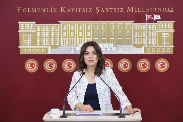 Gülistan Kılıç Koçyiğit'den ''sahte diploma'' tepkisi: Bütün kurumları ele geçiren çete sadece buzdağının görünen yüzü