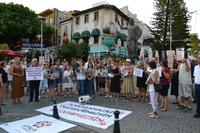 Antalya'da hayvan hakları eylemi: Barınaklar toplama kampı oldu