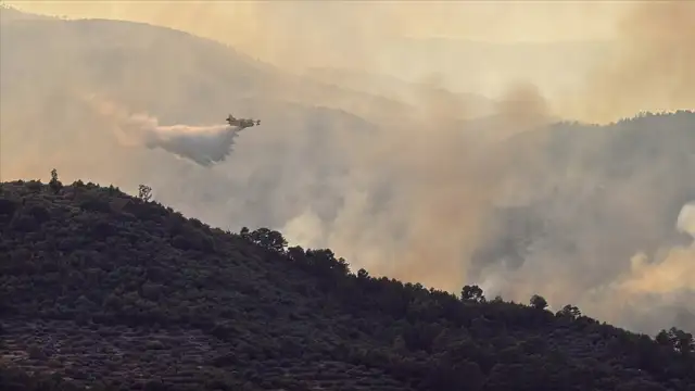 İspanya'da Madrid ve Avila çevresinde yangın çıktı